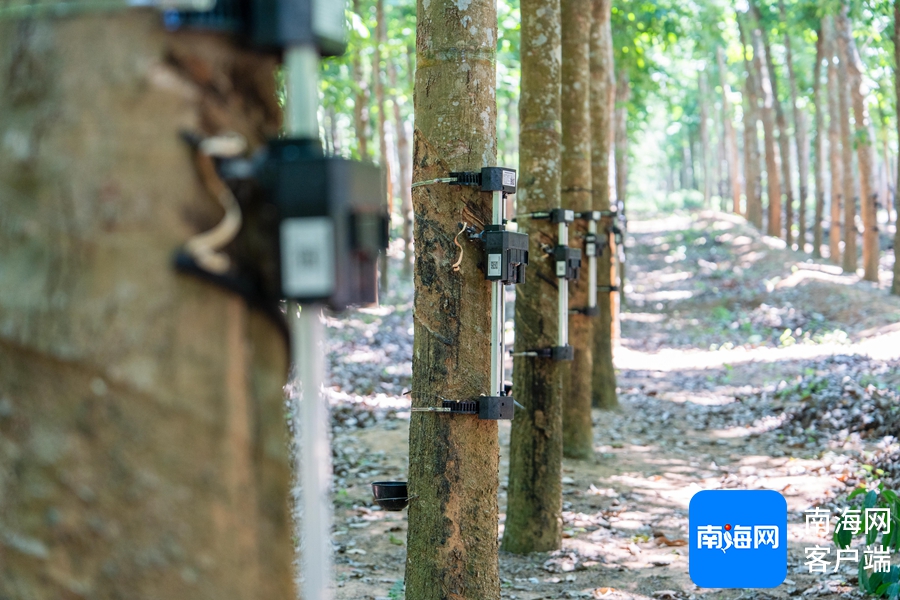 1745456032374002652.jpg 1745456032374002652.jpg