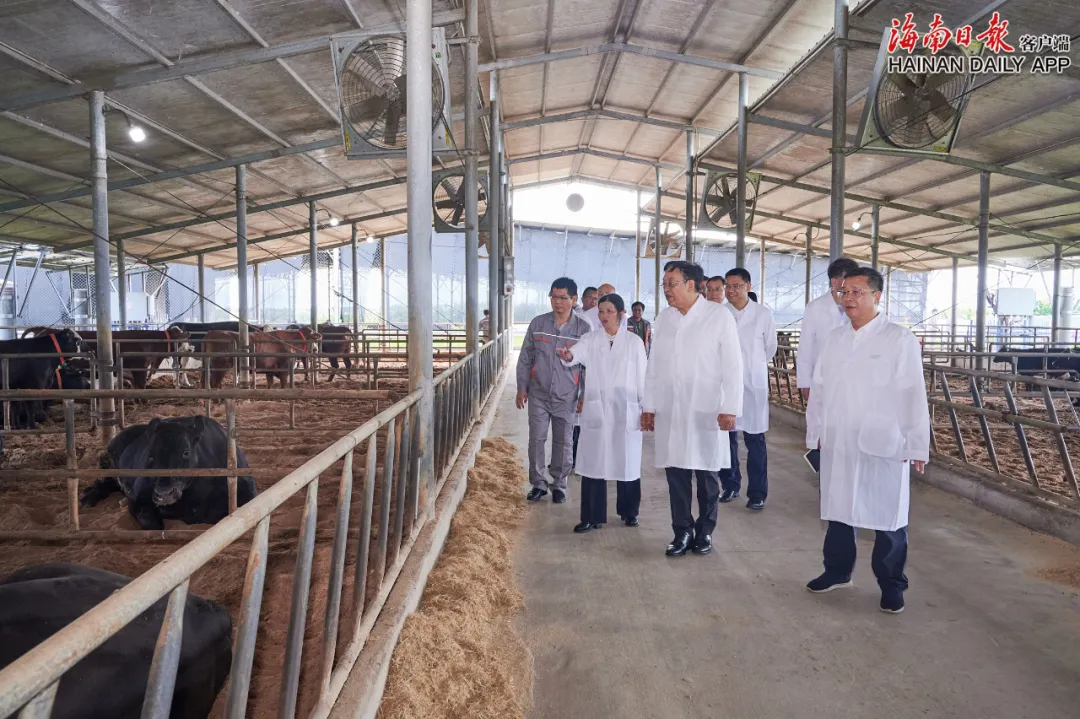 1758241291173074680.jpg 1758241291173074680.jpg