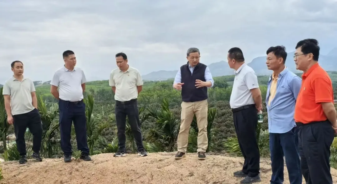 1773361633106004075.jpg 1773361633106004075.jpg