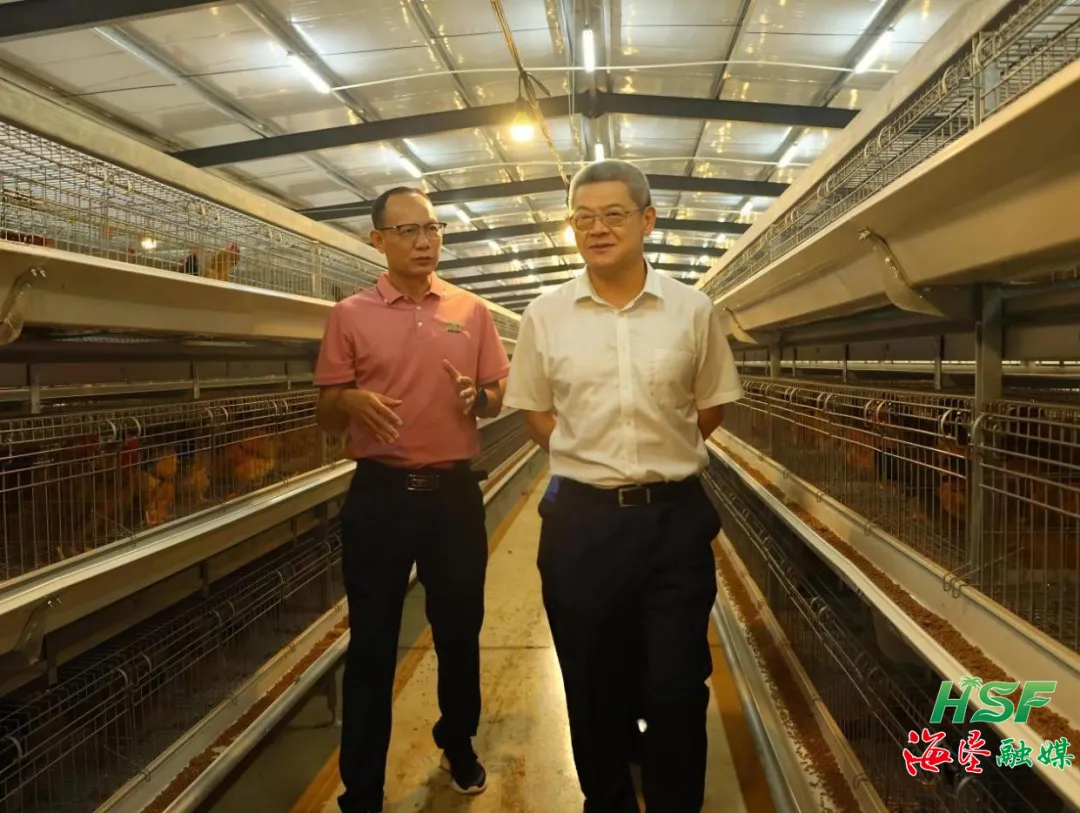 1774620839961038829.jpg 1774620839961038829.jpg