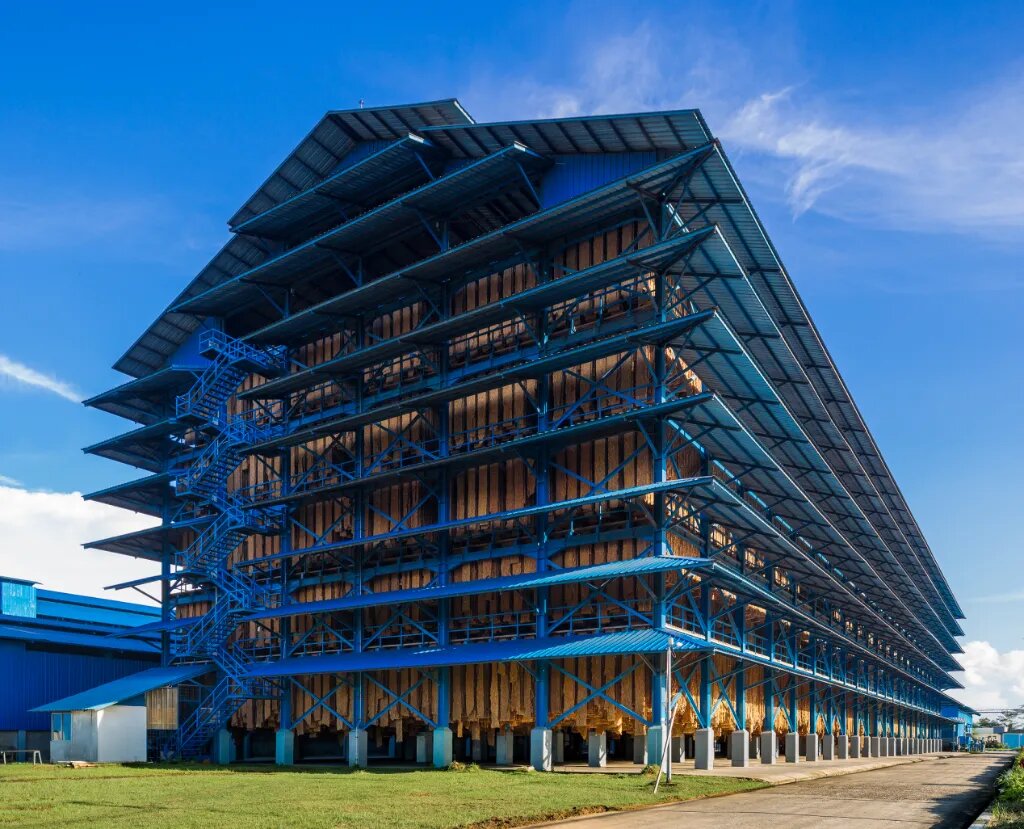 媒體關注丨砥礪十五載 膠融天下路——海南橡膠鑄就全球天然橡膠產業新標桿